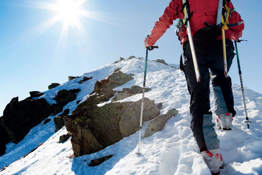 Winter Newsletter 2024 1